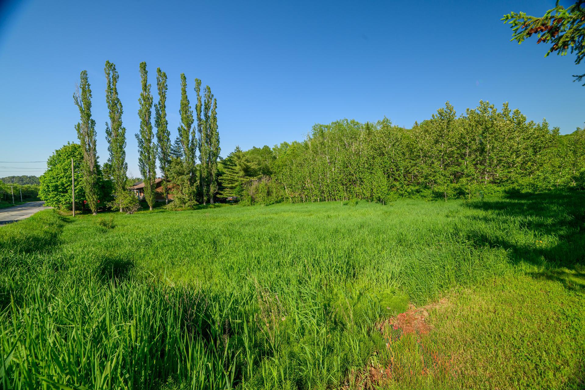 Terre/Terrain