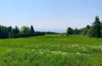 Land/Lot