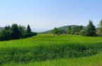 Land/Lot