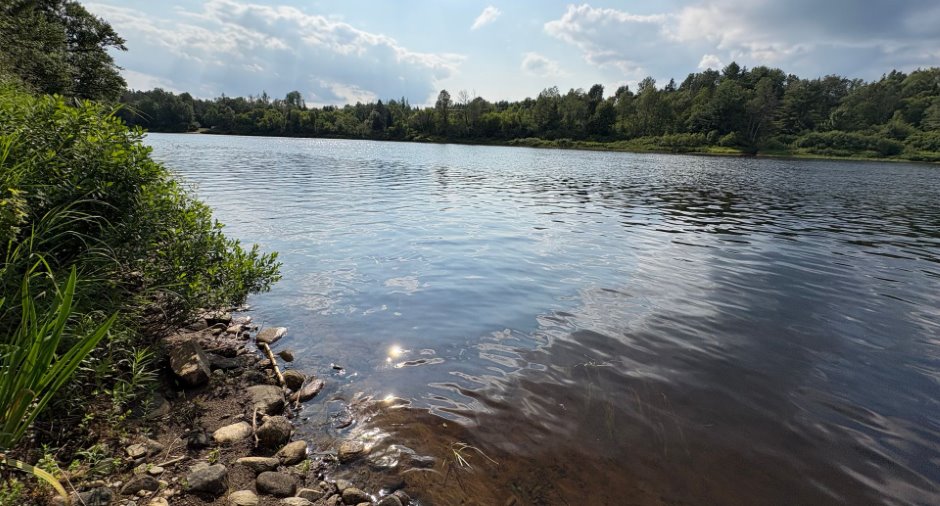 Vue sur l'eau