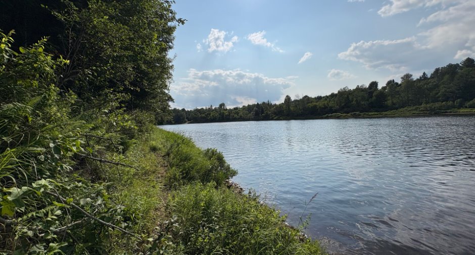 Vue sur l'eau