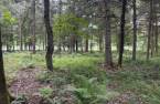 Terre/Terrain