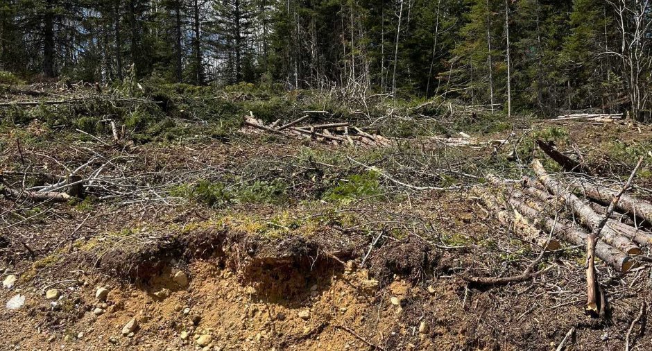 Land/Lot