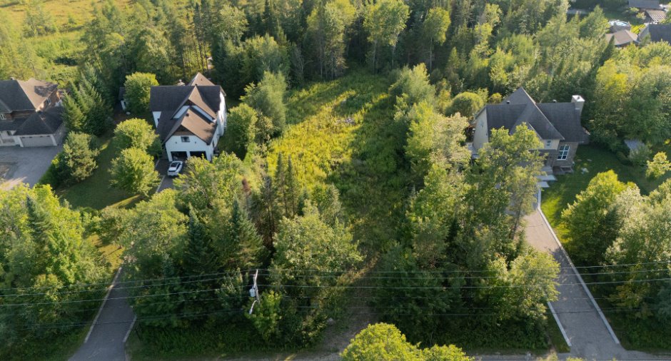 Terre/Terrain