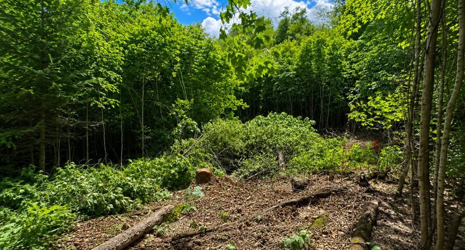Terre/Terrain