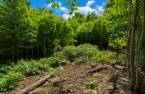 Terre/Terrain