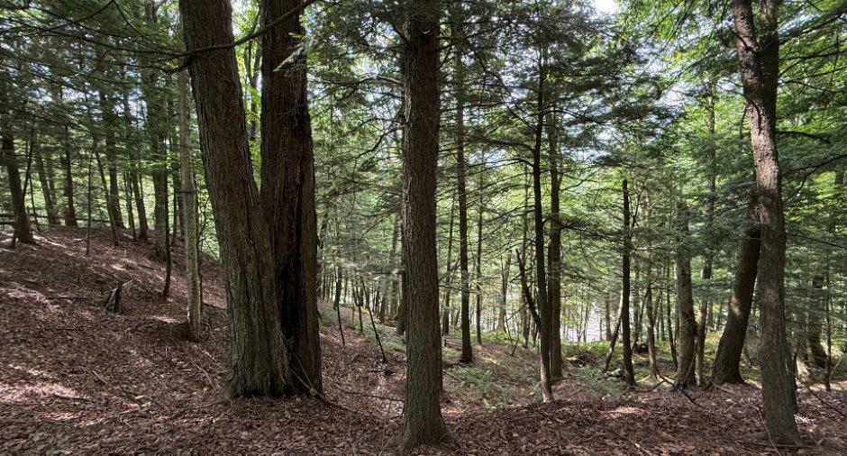 Terre/Terrain