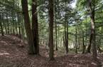Terre/Terrain
