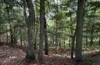 Terre/Terrain