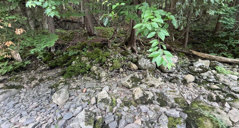 Terre/Terrain