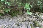 Terre/Terrain