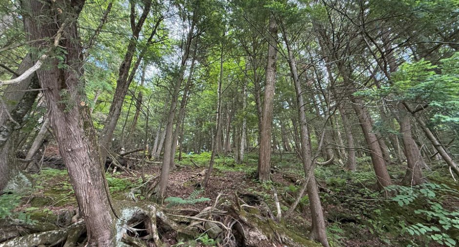 Terre/Terrain