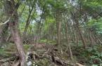Terre/Terrain