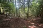 Terre/Terrain
