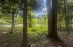 Terre/Terrain