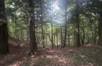 Terre/Terrain