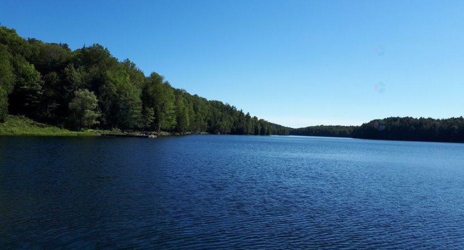 Bord de l'eau