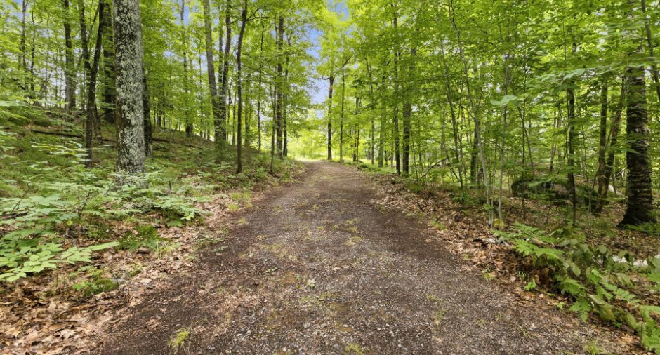 Terre/Terrain