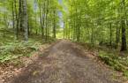 Terre/Terrain