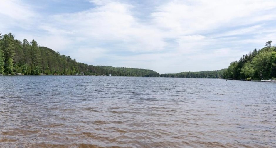 Bord de l'eau