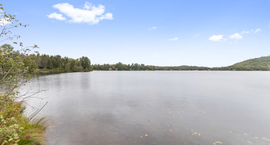 Bord de l'eau