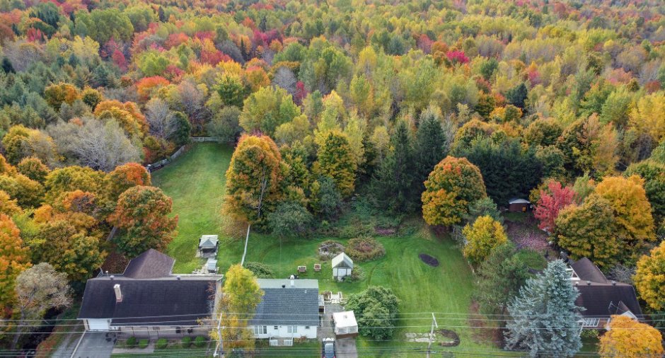 Land/Lot