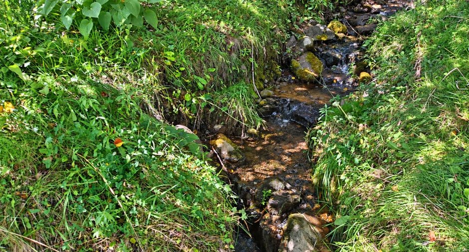 Accès au plan d'eau