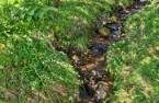 Accès au plan d'eau