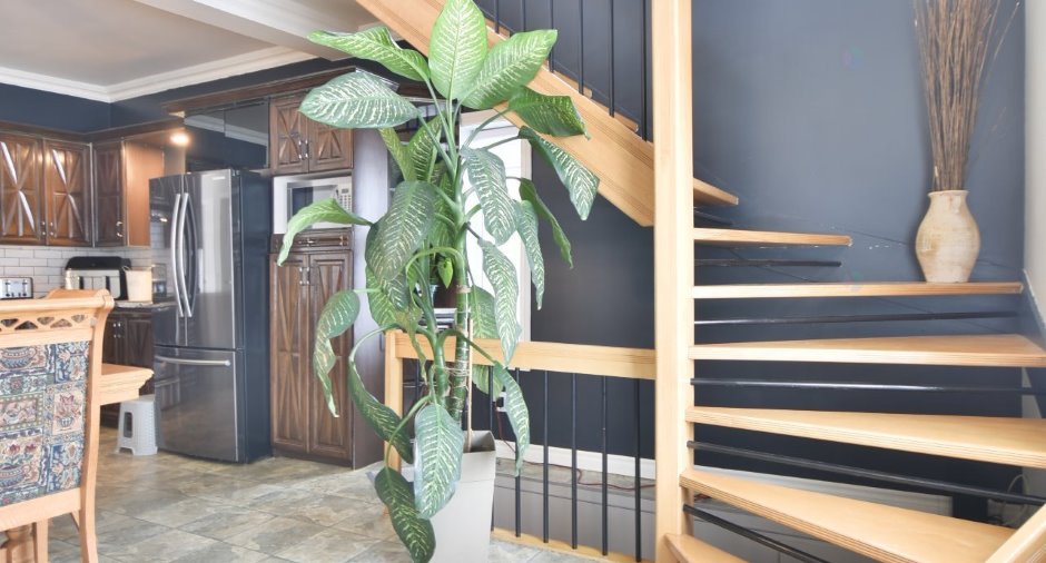 Escalier