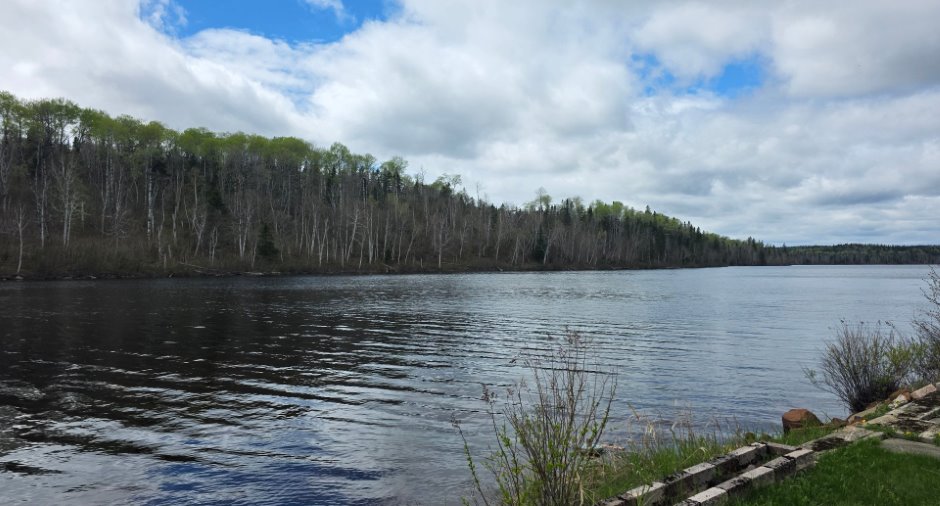 Vue sur l'eau