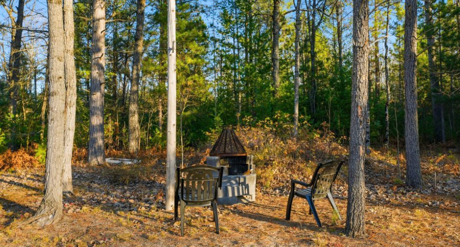 Cour