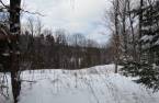 Land/Lot