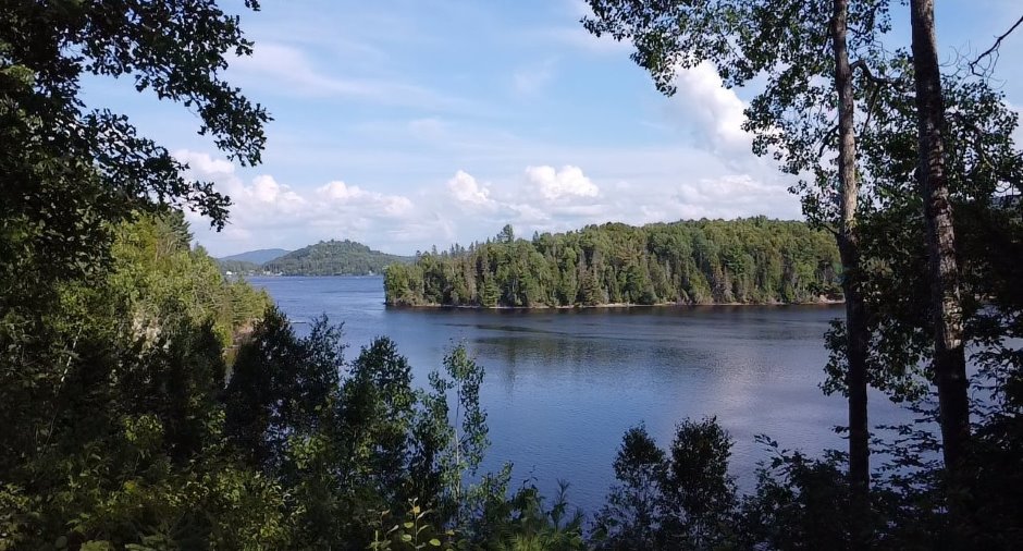Vue sur l'eau