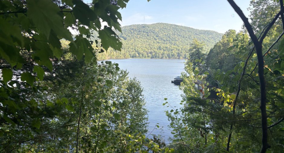 Vue sur l'eau