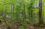 Terre/Terrain