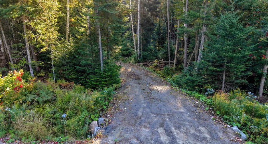 Terre/Terrain