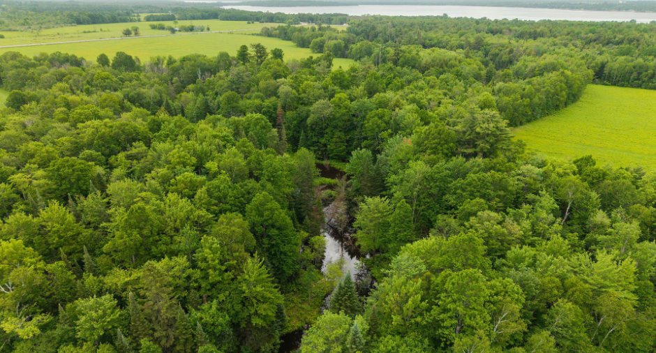 Aerial photo