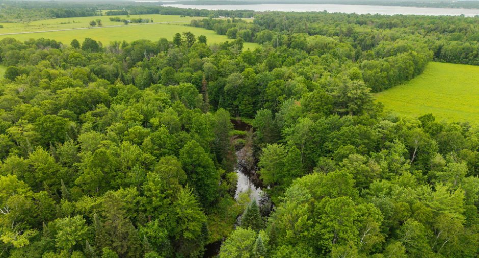 Aerial photo