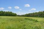 Land/Lot