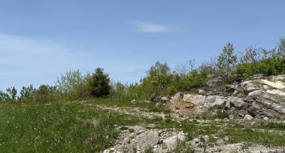 Terre/Terrain