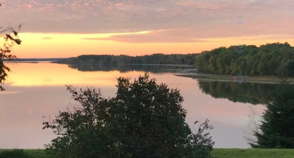 Vue sur l'eau
