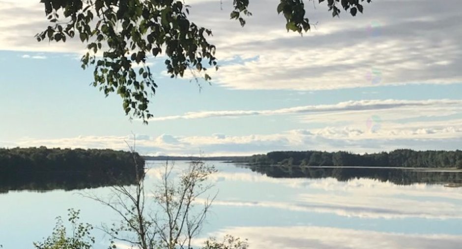 Vue sur l'eau