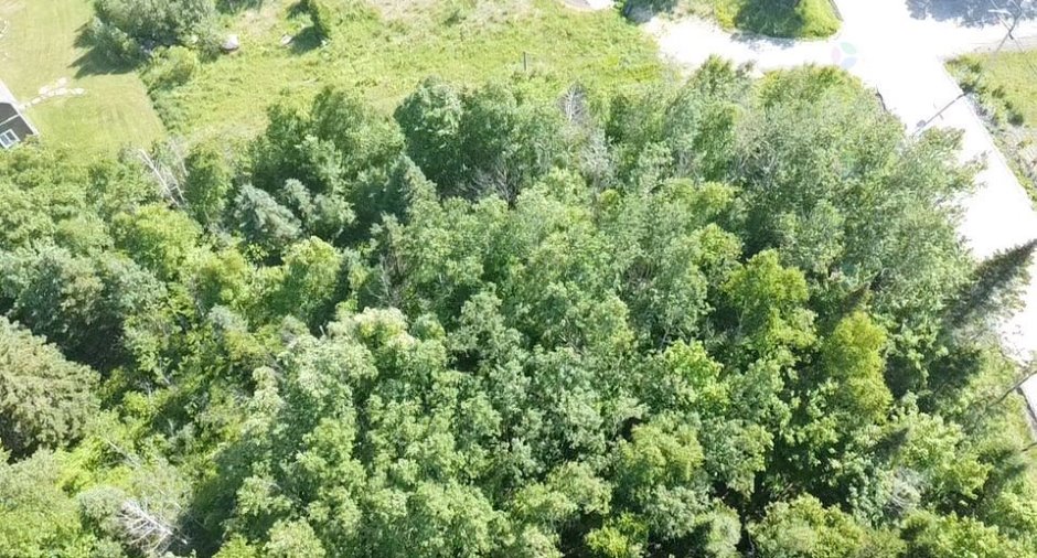 Terre/Terrain