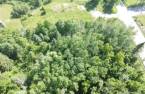 Terre/Terrain