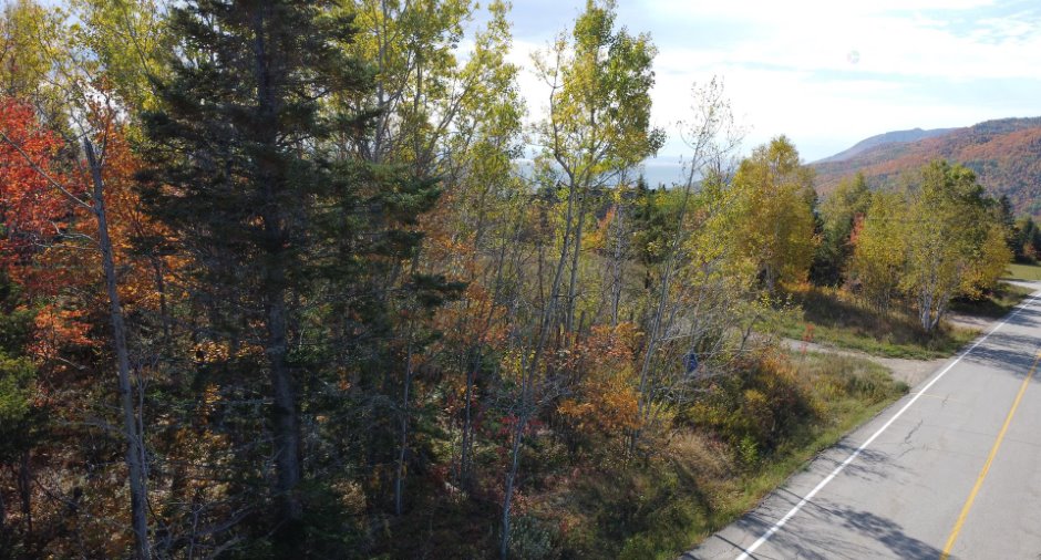 Vue