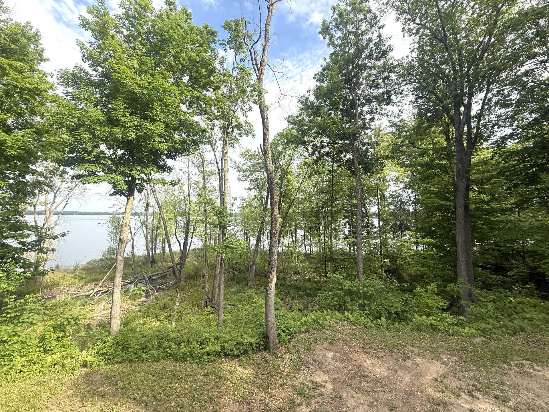 Vue sur l'eau