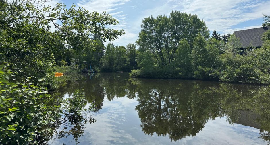 Vue sur l'eau