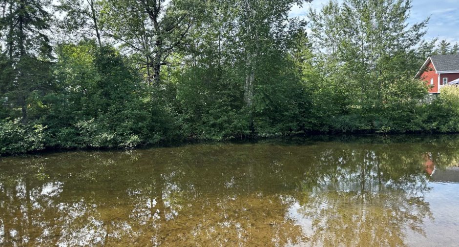 Vue sur l'eau