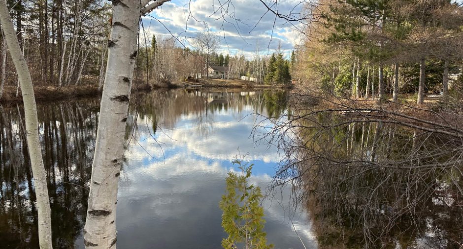 Vue sur l'eau