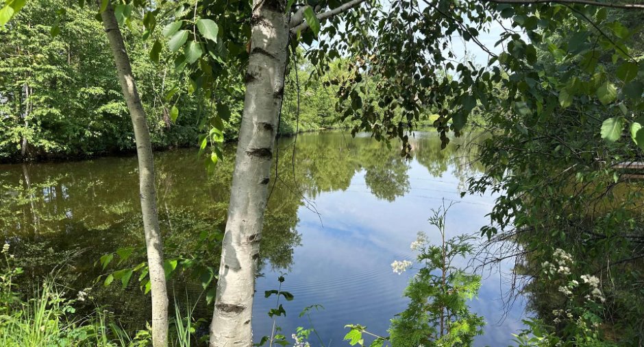 Vue sur l'eau